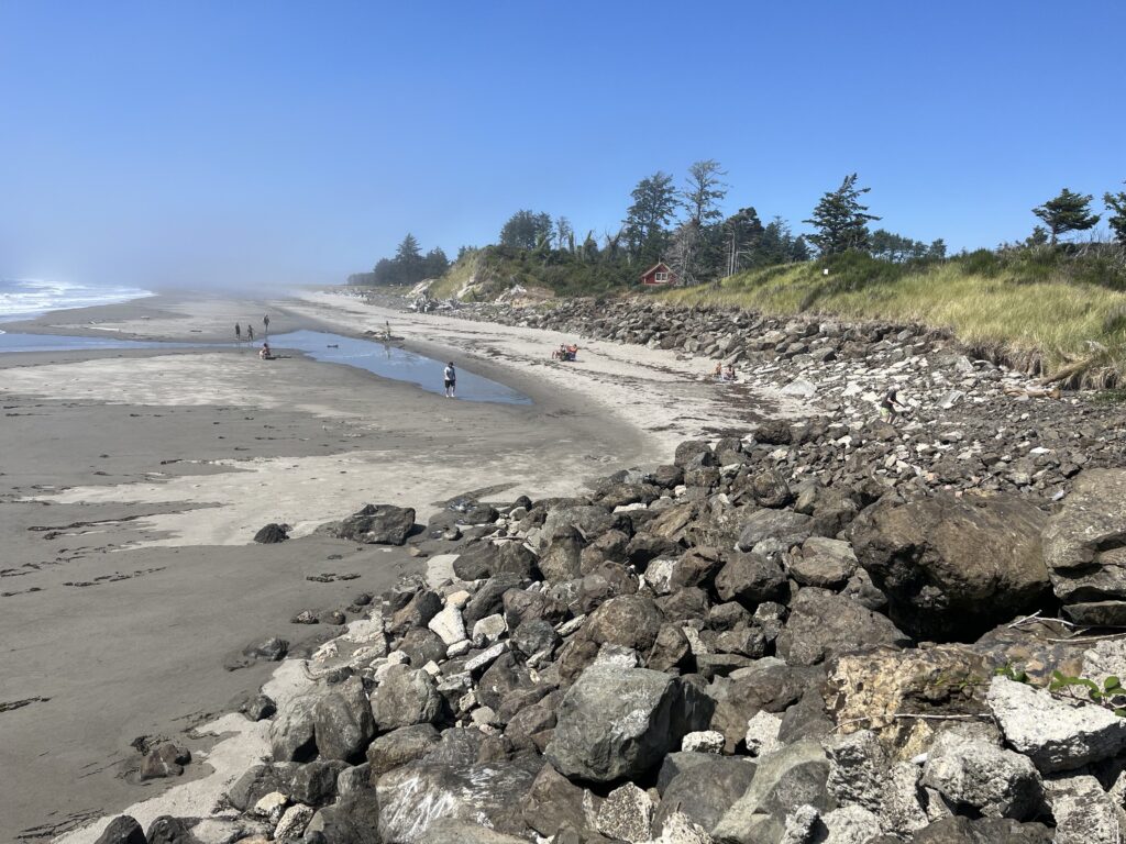 a rocky beach with a body of water and a hill with trees (MyCoast AI)