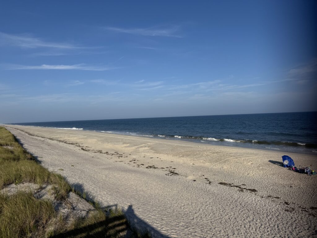 a beach with a body of water in the background (MyCoast AI)