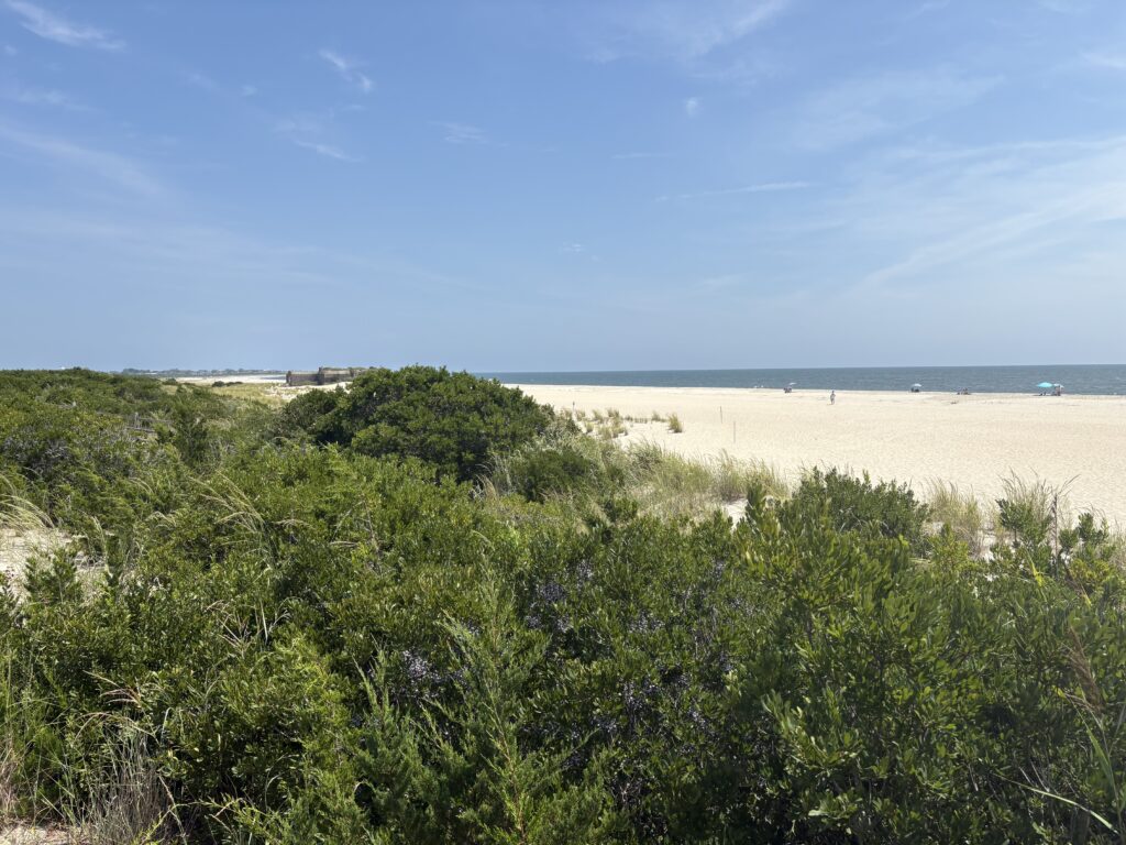 a beach with trees and bushes (MyCoast AI)