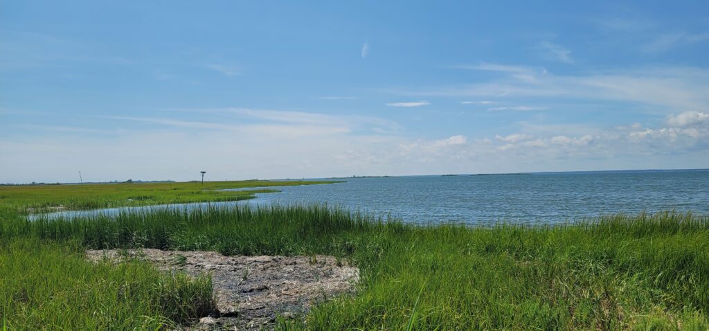 a body of water with grass and land around it (MyCoast AI)