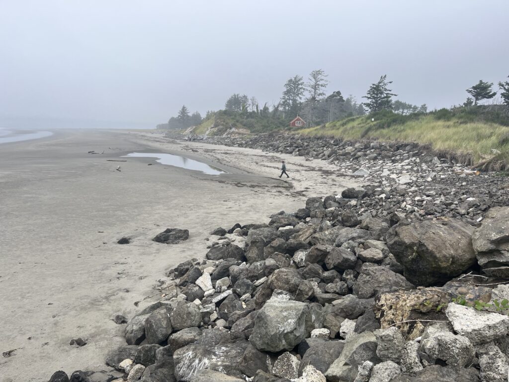 a rocky beach with a person walking on it (MyCoast AI)