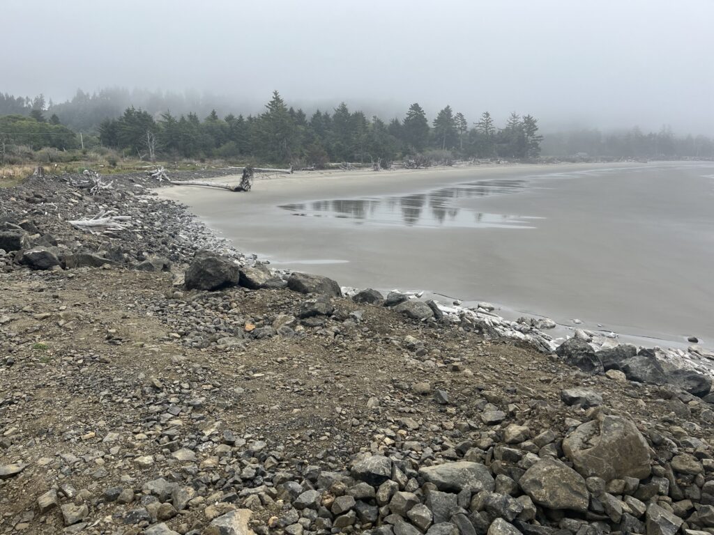 a rocky beach with a body of water and trees in the background (MyCoast AI)