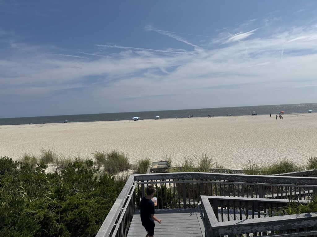 a person walking on a boardwalk (MyCoast AI)