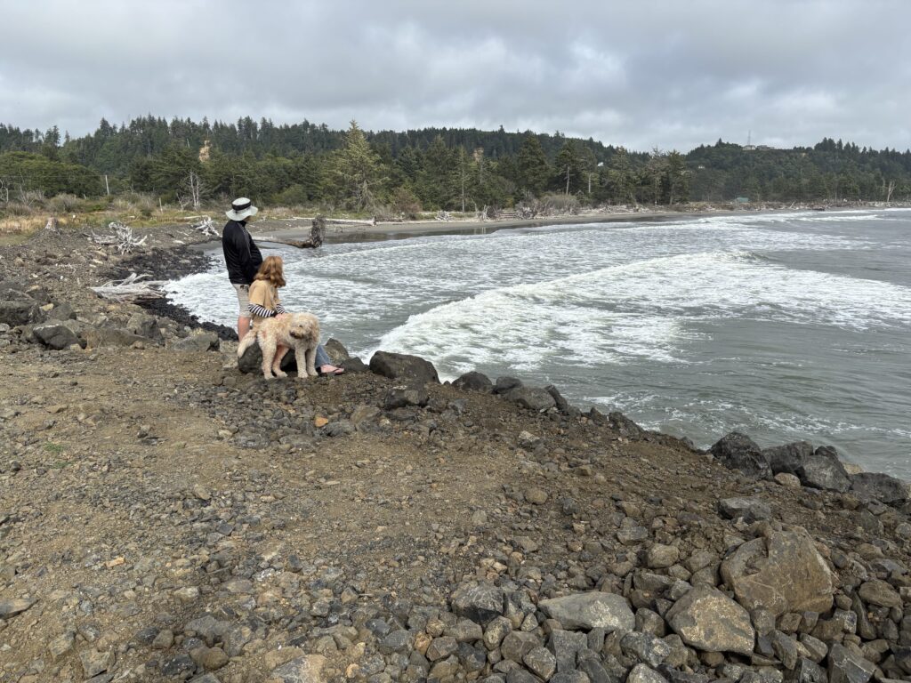 a person and two dogs on a rocky beach (MyCoast AI)