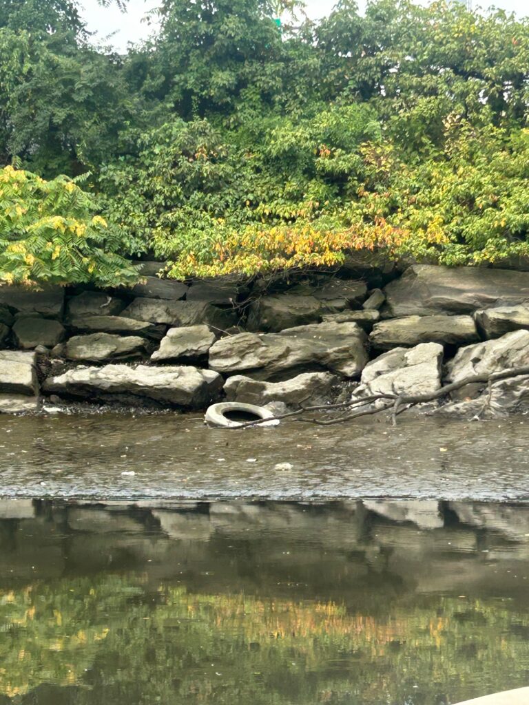 a rock wall with a pond and trees in the background (MyCoast AI)