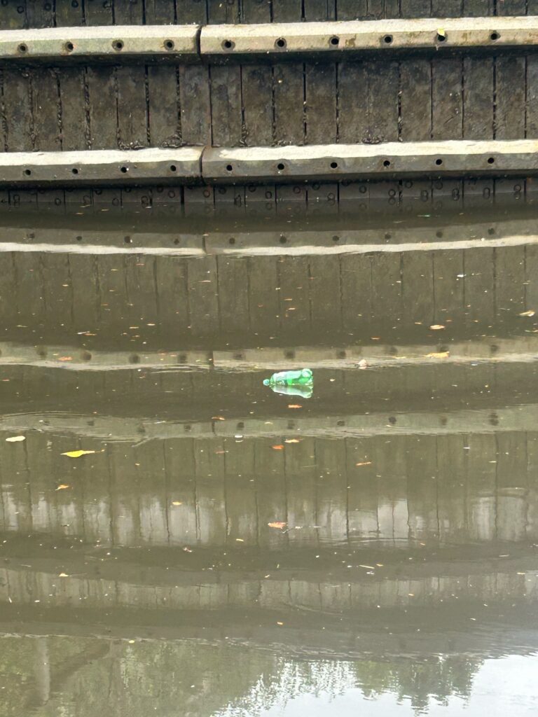 a small green object on a wooden surface (MyCoast AI)