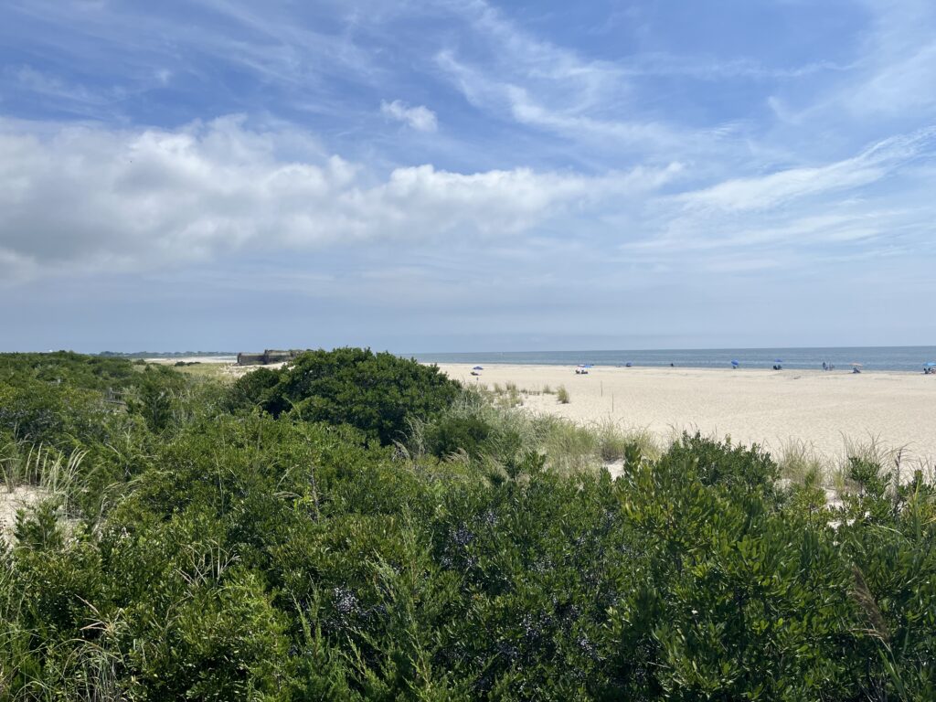 a beach with trees and bushes (MyCoast AI)
