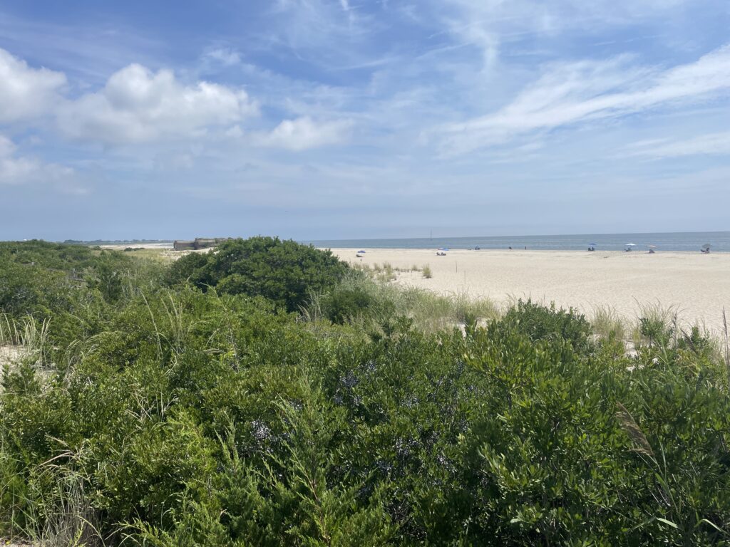 a beach with bushes and trees (MyCoast AI)