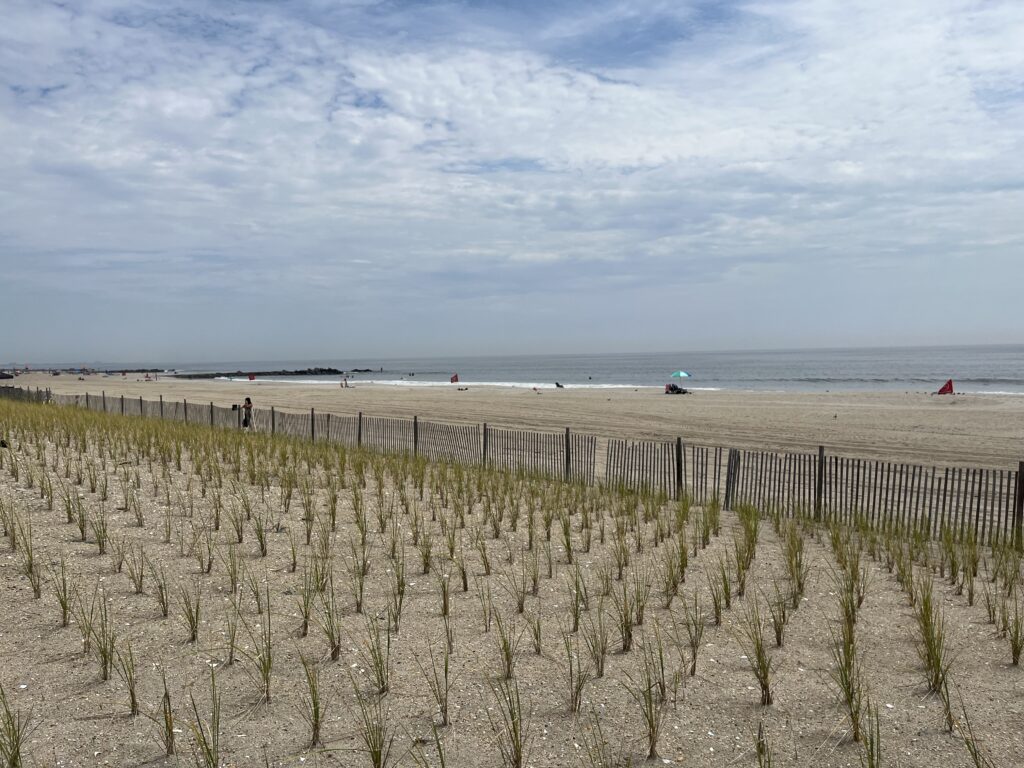 a beach with a fence and people (MyCoast AI)