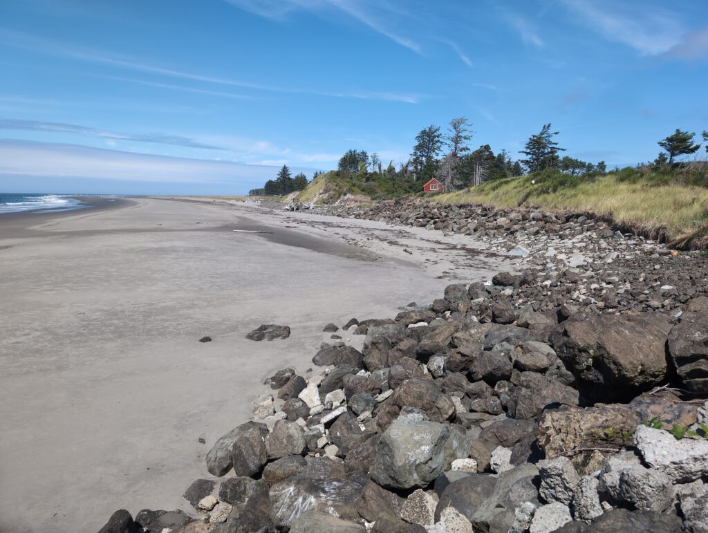 a rocky beach with trees and a hill in the background (MyCoast AI)
