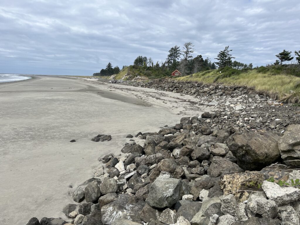 a rocky beach with trees in the background (MyCoast AI)