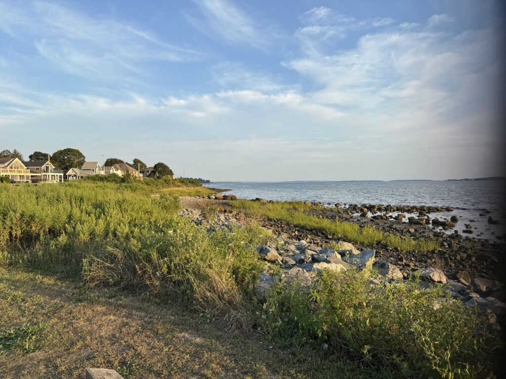 a rocky beach with houses and trees (MyCoast AI)