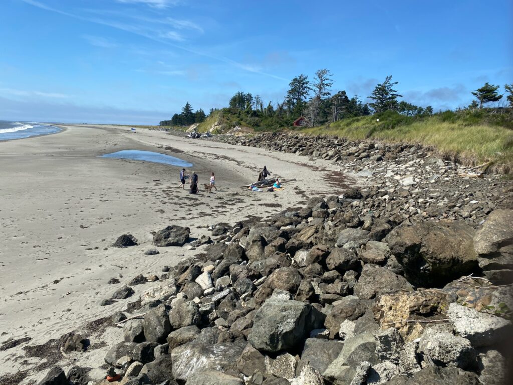 a group of people on a beach (MyCoast AI)