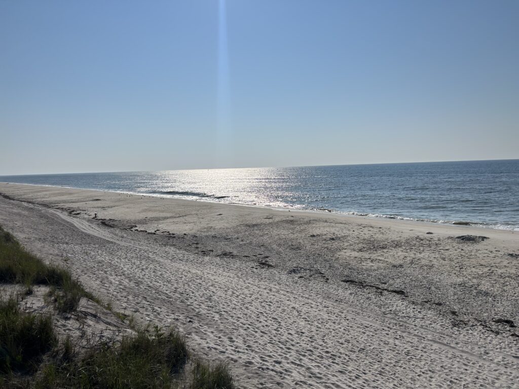 a sandy beach with a body of water in the background (MyCoast AI)