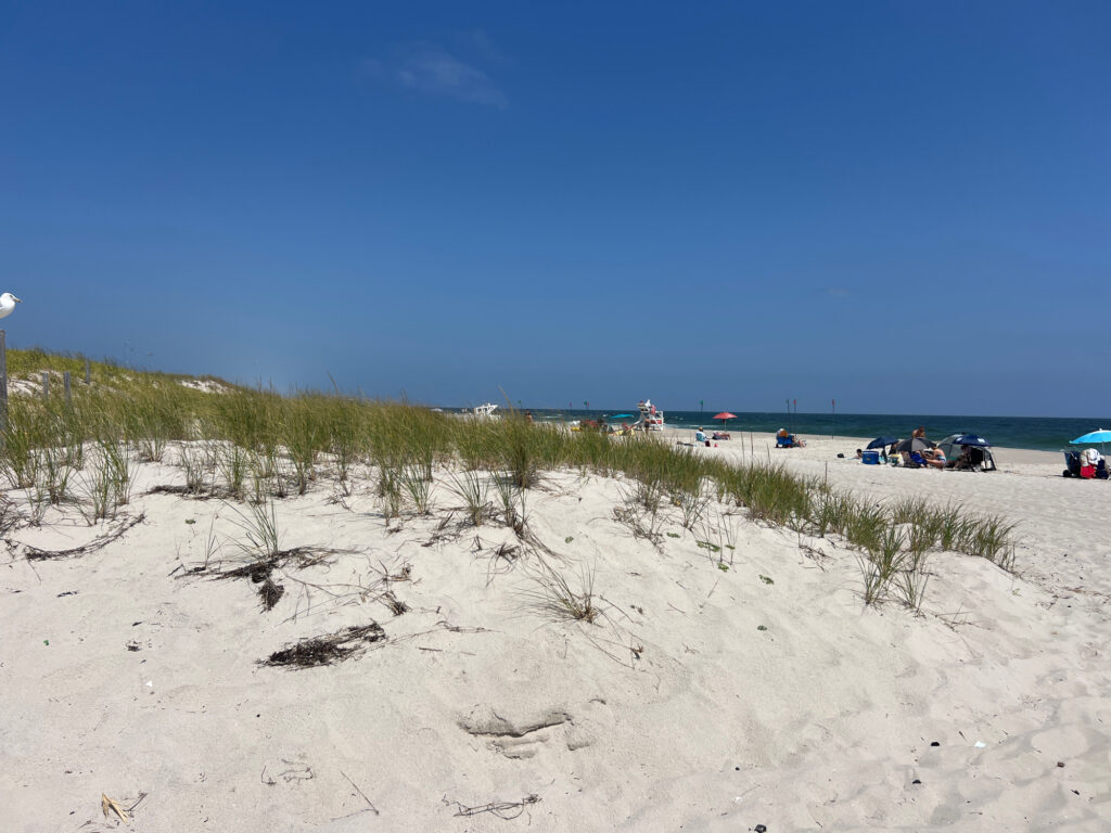 a sandy beach with bushes and people (MyCoast AI)