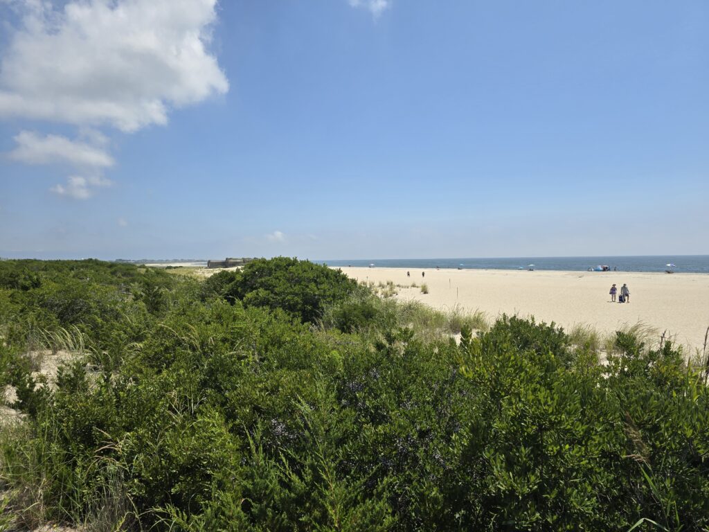 a group of people walking on a beach (MyCoast AI)