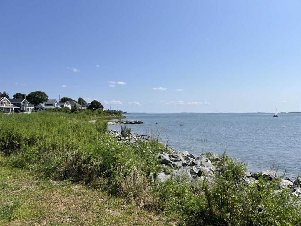 a body of water with houses along it (MyCoast AI)