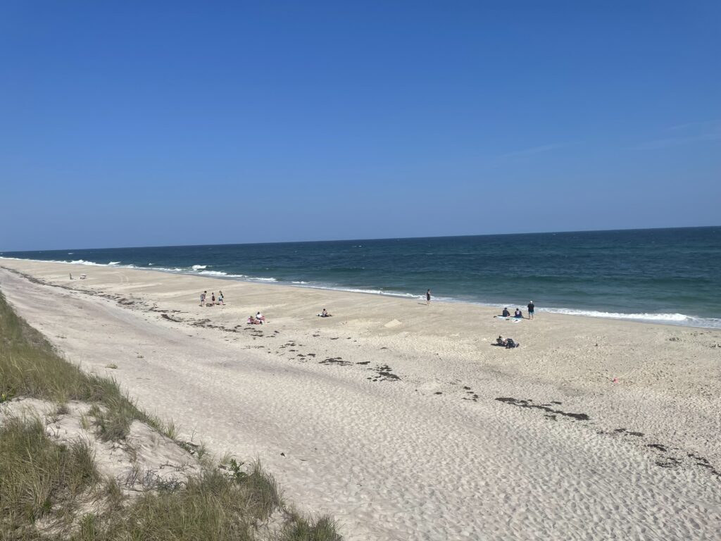 a beach with people on it (MyCoast AI)