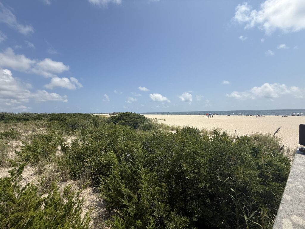 a beach with bushes and trees (MyCoast AI)