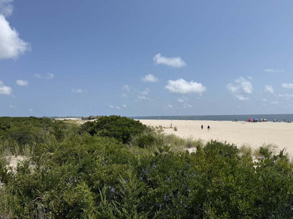 a group of people walking on a beach (MyCoast AI)