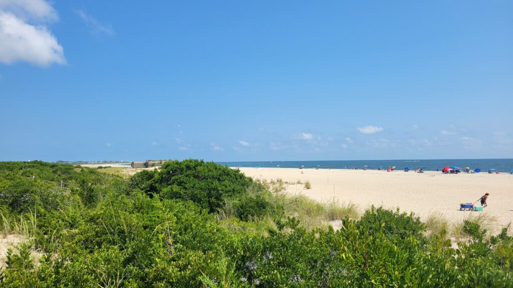 a beach with bushes and trees (MyCoast AI)