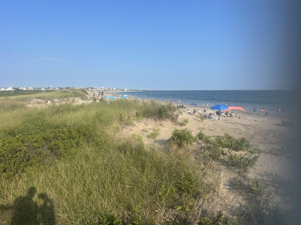 a beach with people and umbrellas (MyCoast AI)