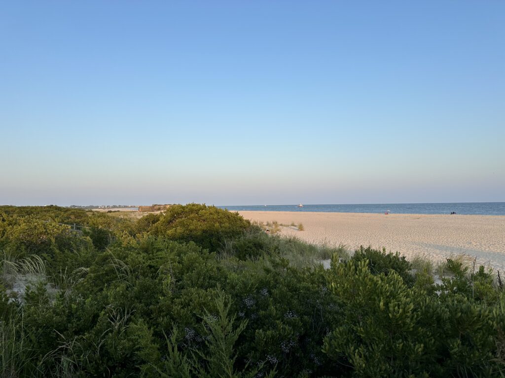 a beach with bushes and trees (MyCoast AI)