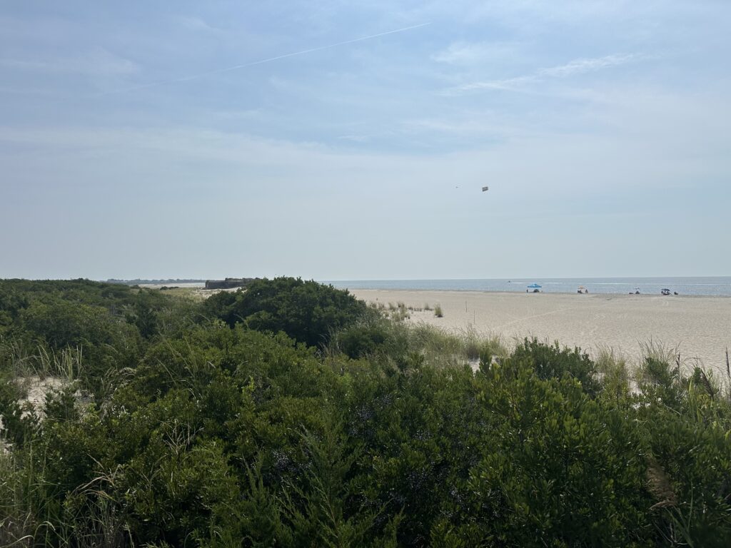 a beach with trees and bushes (MyCoast AI)
