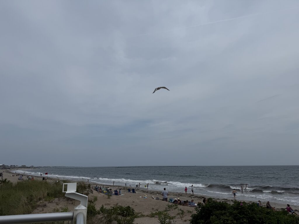 a kite flies over a beach (MyCoast AI)