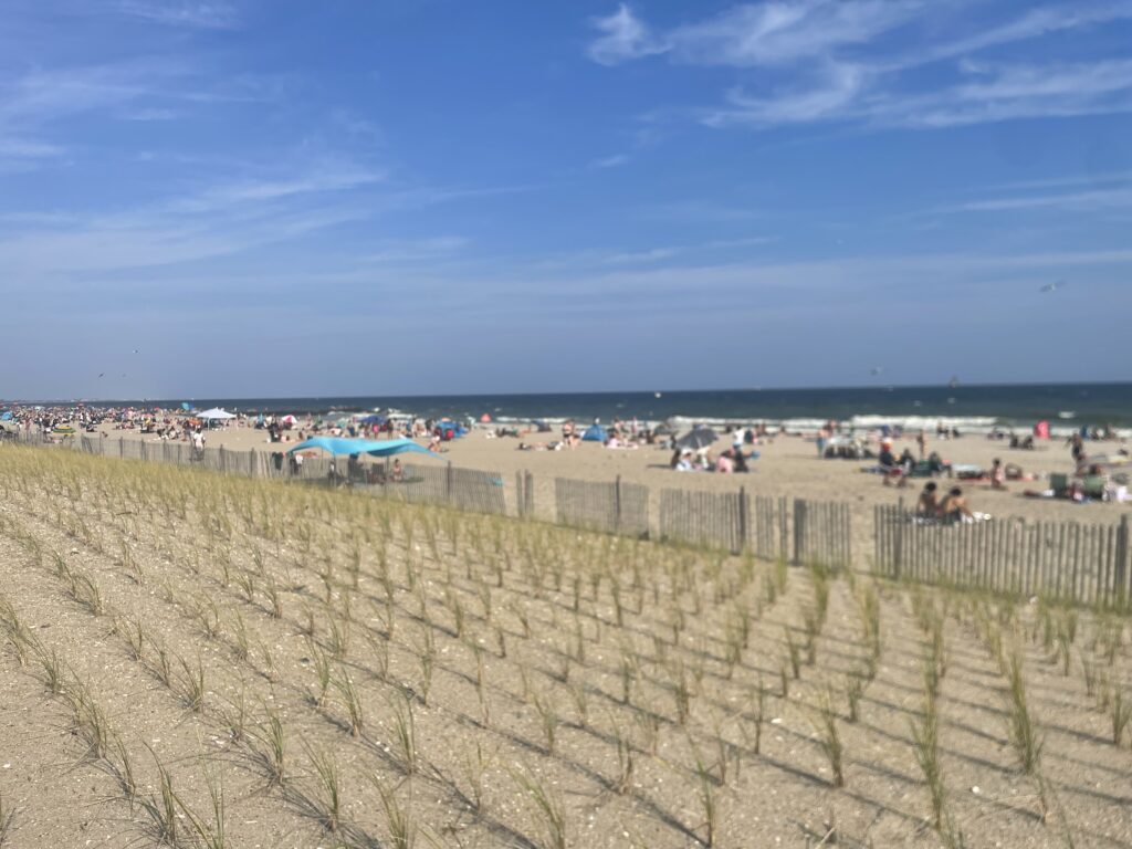 a beach with a fence and people (MyCoast AI)