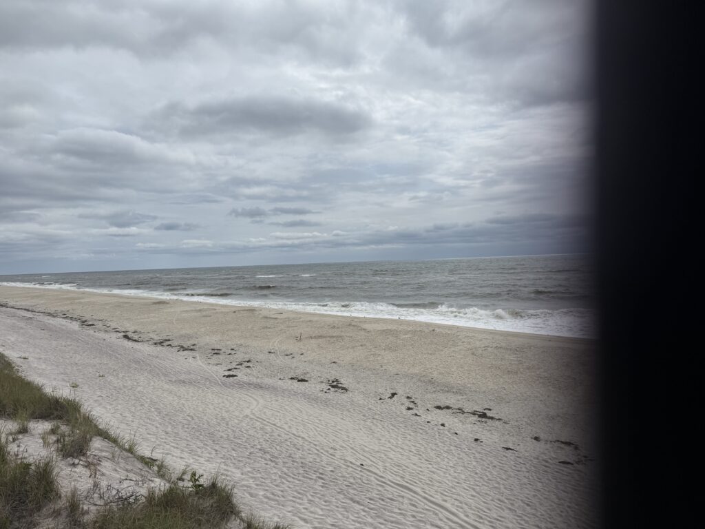 a beach with waves crashing on it (MyCoast AI)