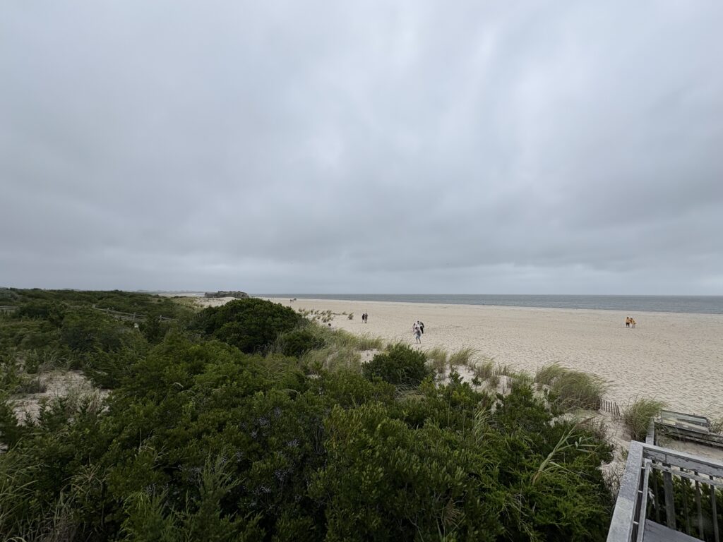 a beach with trees and bushes (MyCoast AI)