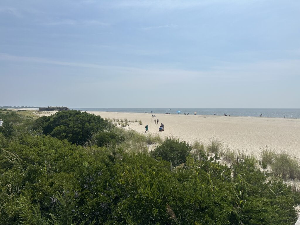 a group of people walking on a beach (MyCoast AI)