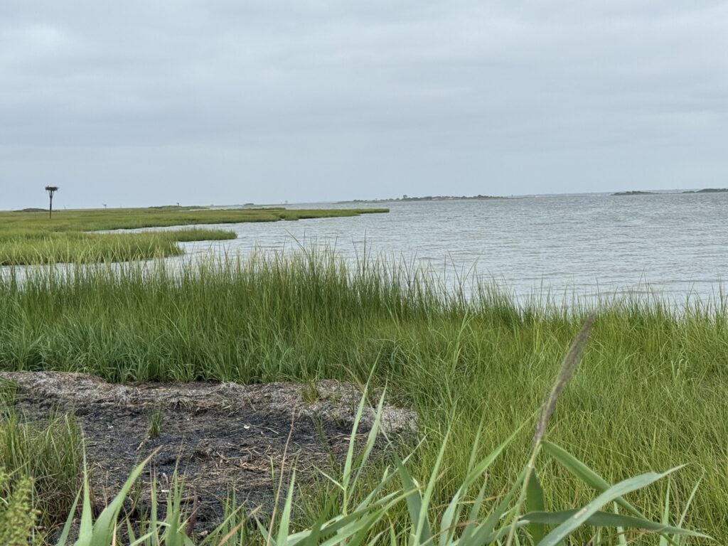 a body of water with grass and a land with a fence (MyCoast AI)