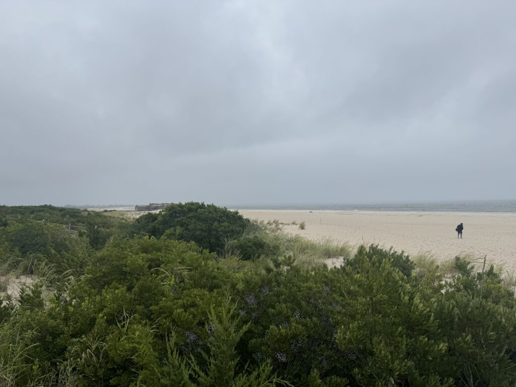 a person walking on a beach (MyCoast AI)