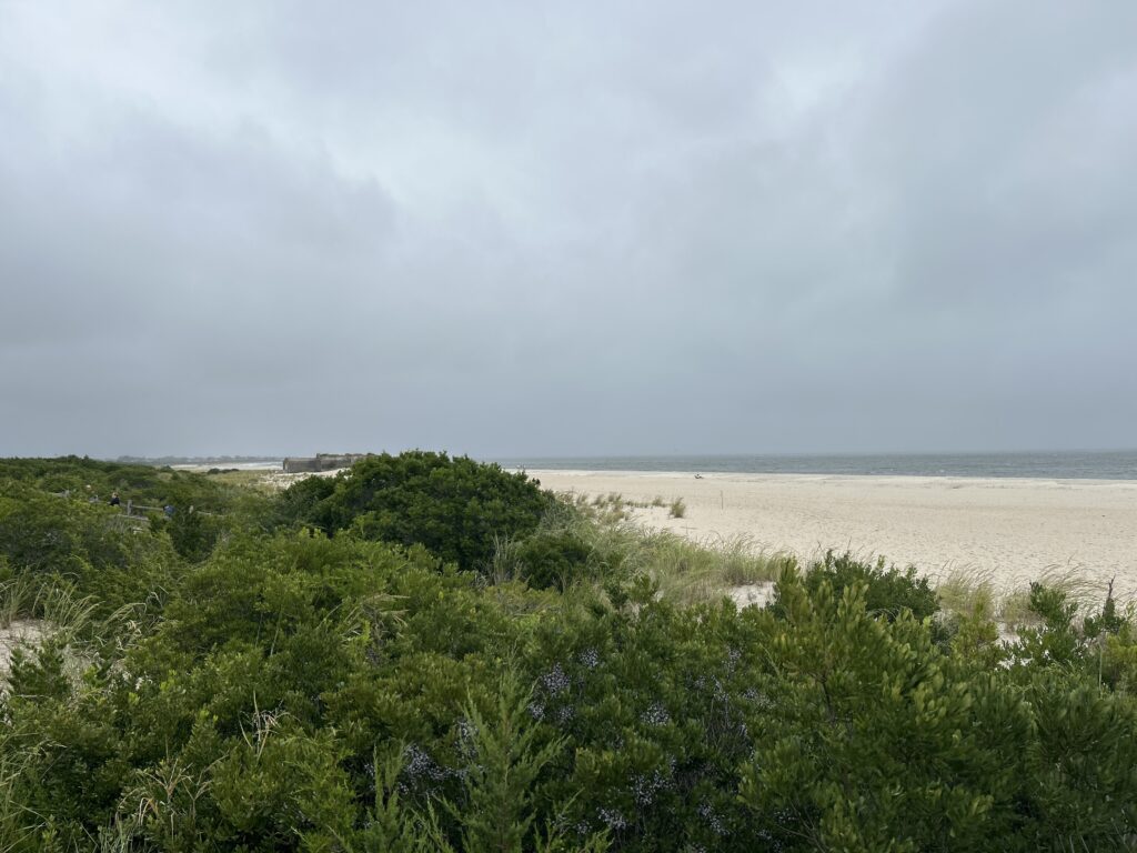 a beach with trees and bushes (MyCoast AI)