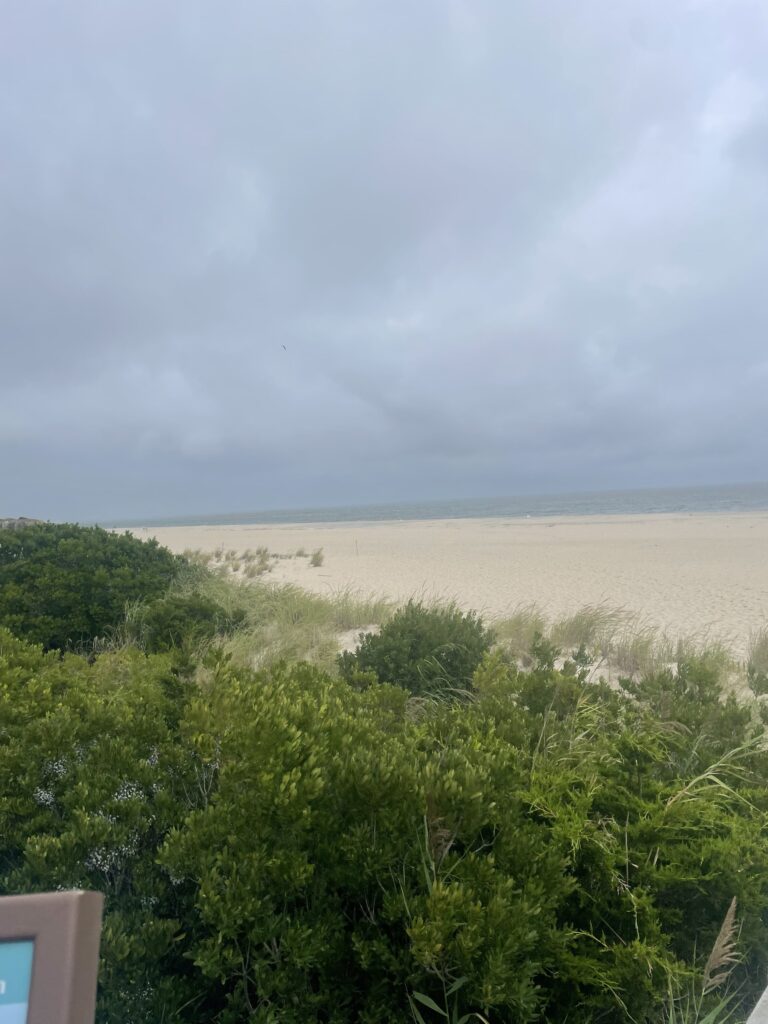a landscape with trees and bushes (MyCoast AI)