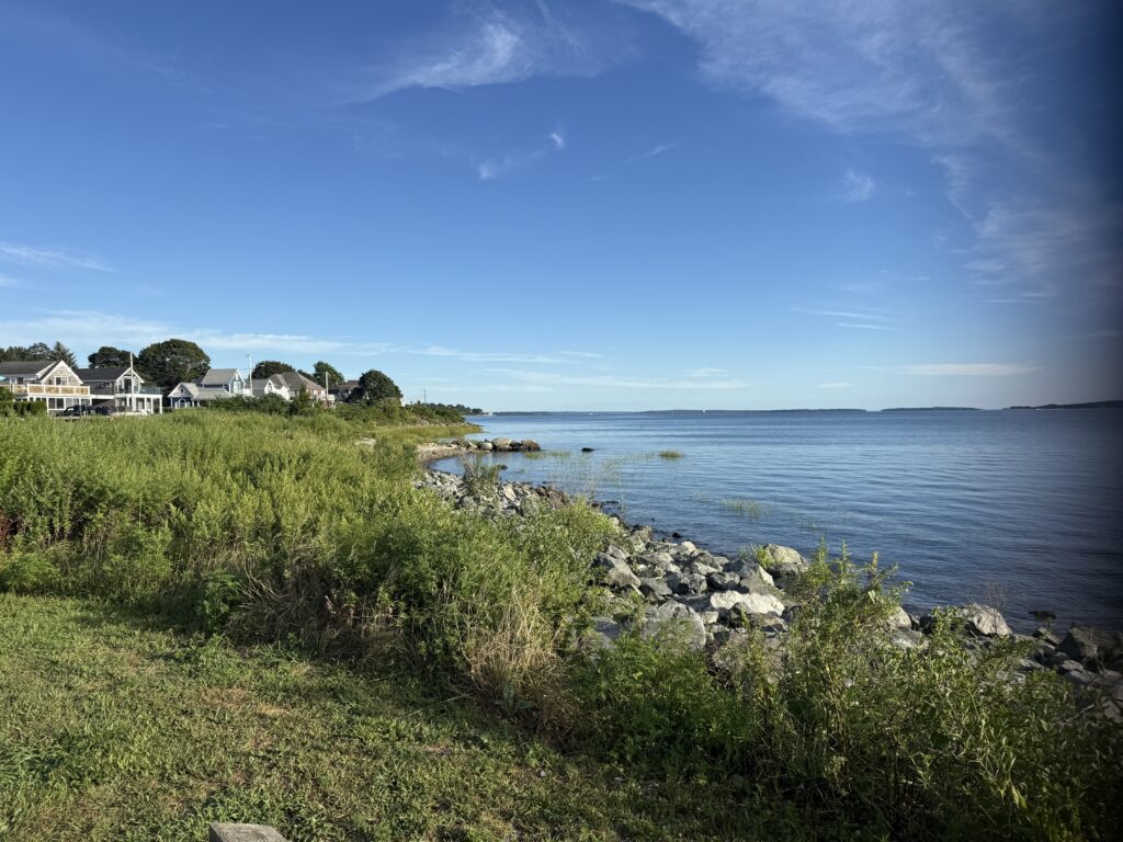 a grassy area next to a body of water (MyCoast AI)