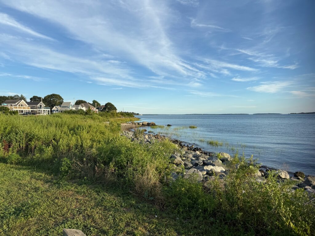 a rocky beach with houses and trees (MyCoast AI)