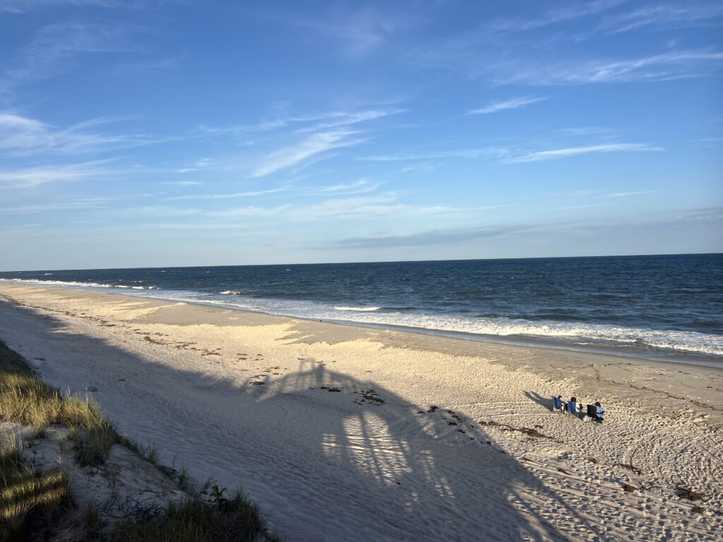a beach with a body of water in the background (MyCoast AI)