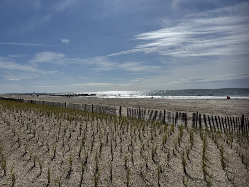 a beach with a fence and a body of water in the background (MyCoast AI)