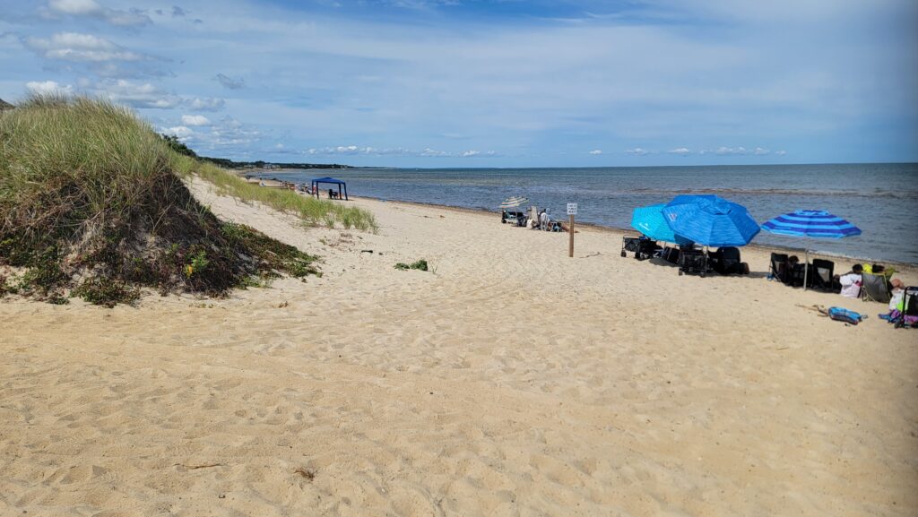 a beach with umbrellas (MyCoast AI)