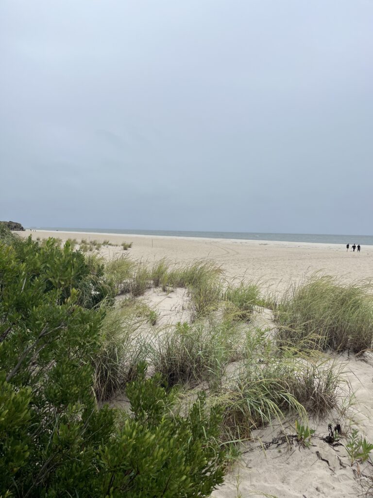 a sandy beach with bushes and people (MyCoast AI)