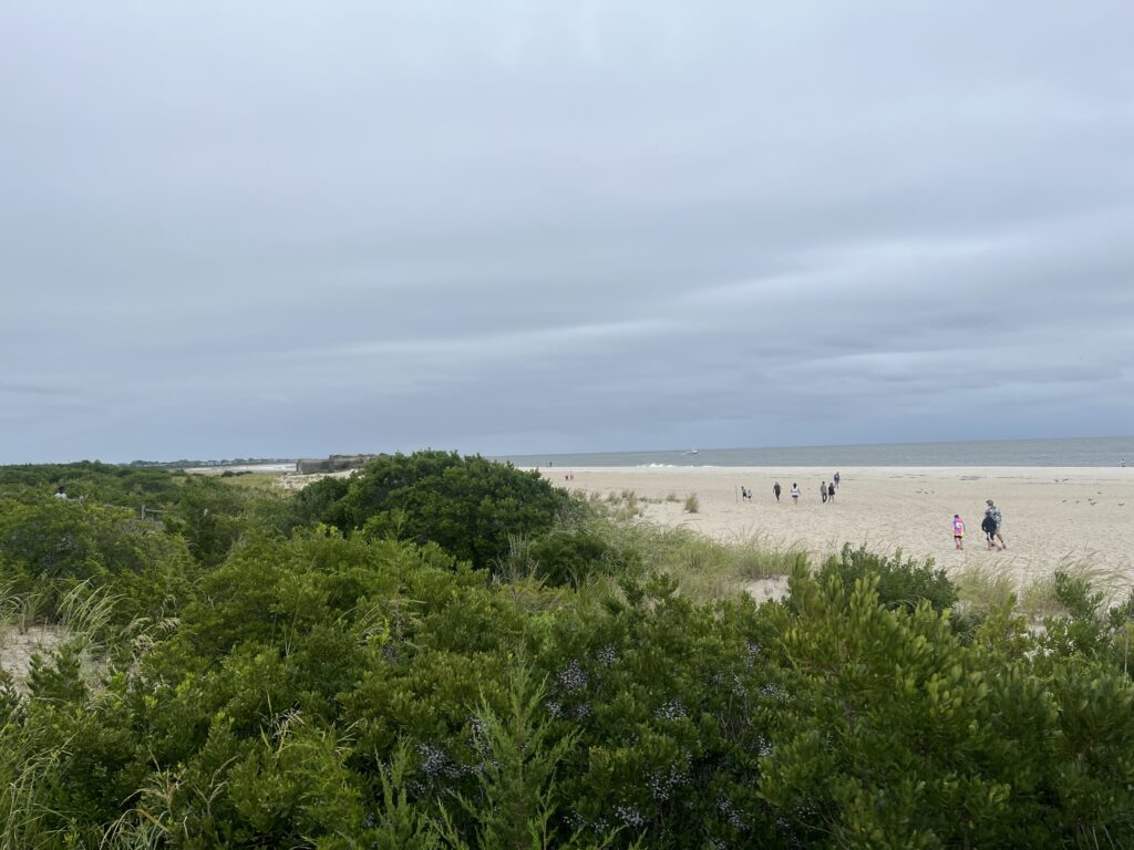 people walking on a beach (MyCoast AI)