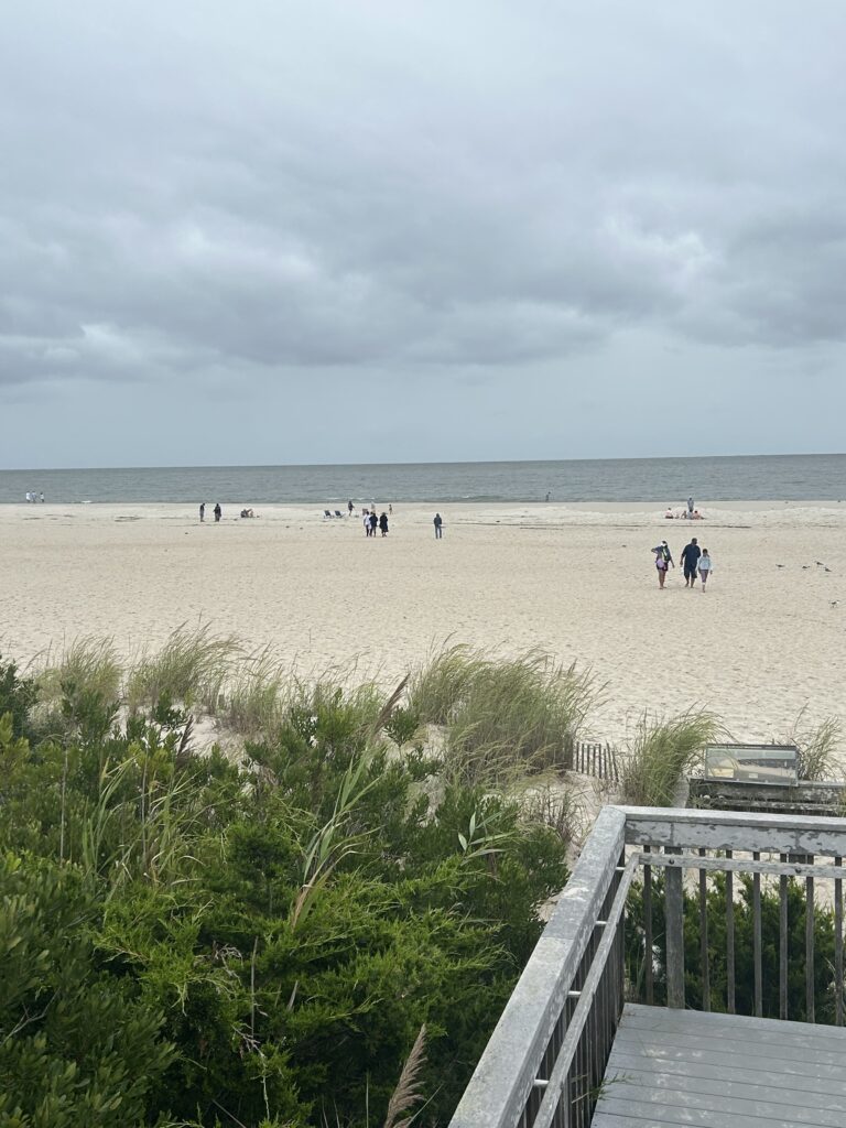 a group of people walking on a beach (MyCoast AI)