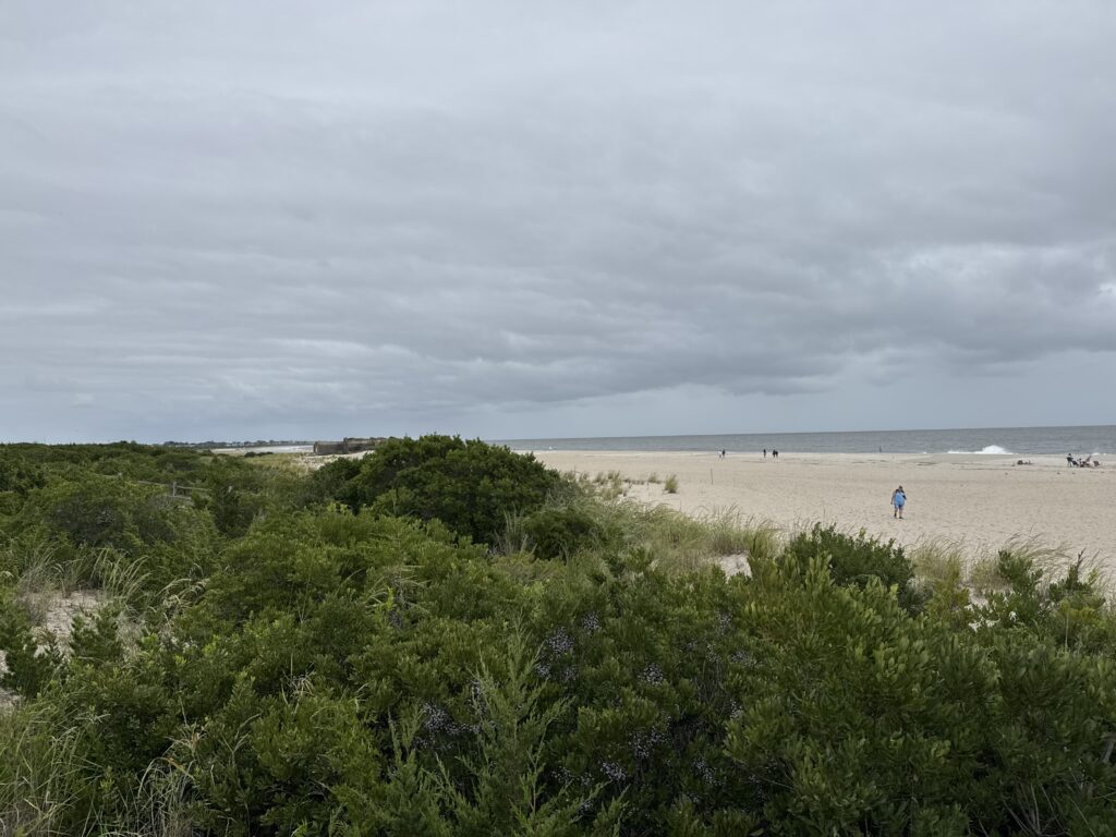 a person walking on a beach (MyCoast AI)