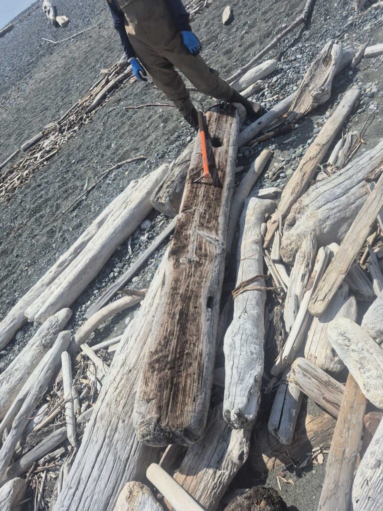 a man cutting down a tree (MyCoast AI)