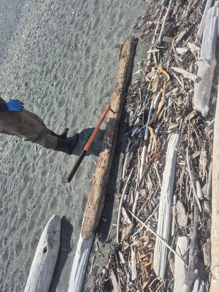 a shovel in the dirt (MyCoast AI)