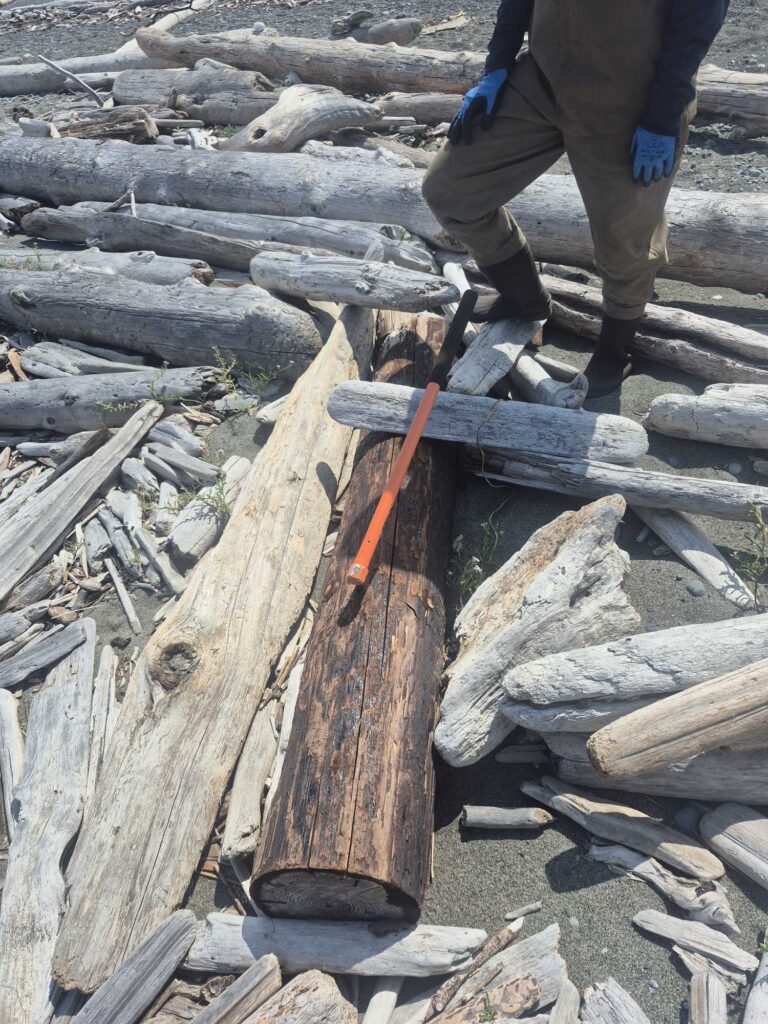 a man chopping wood (MyCoast AI)