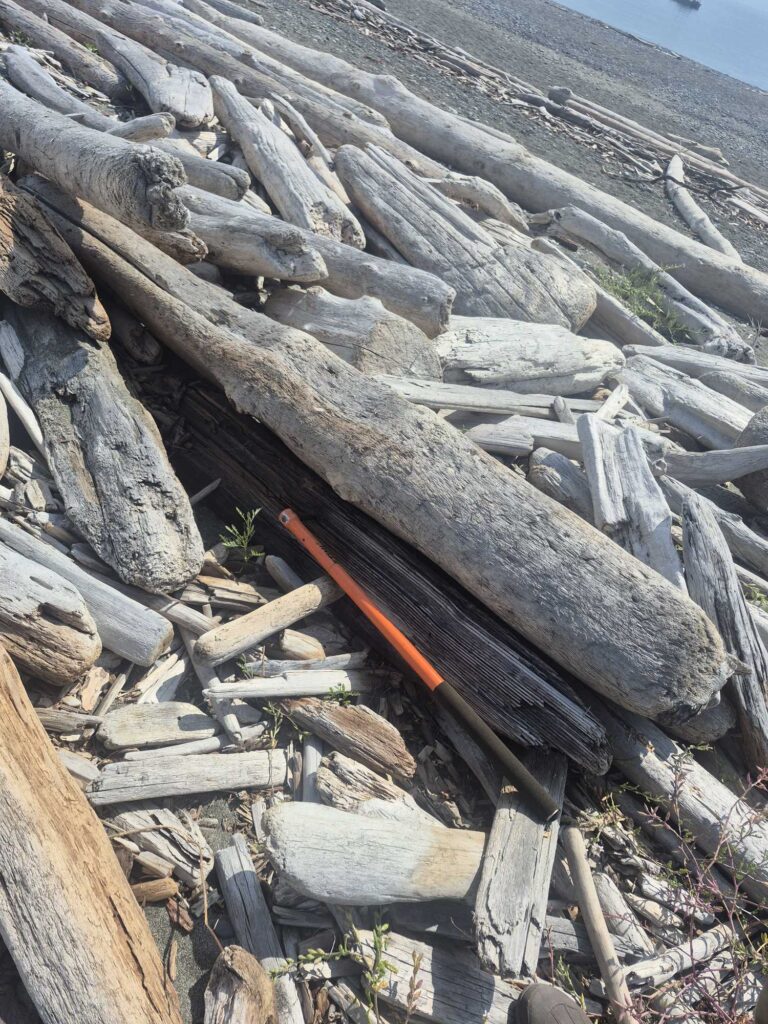 a pile of wood (MyCoast AI)